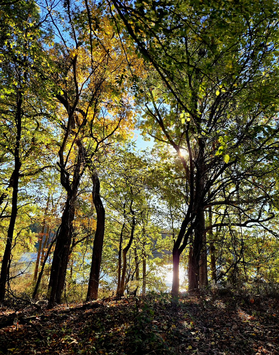 SugarSugar78 tweet media