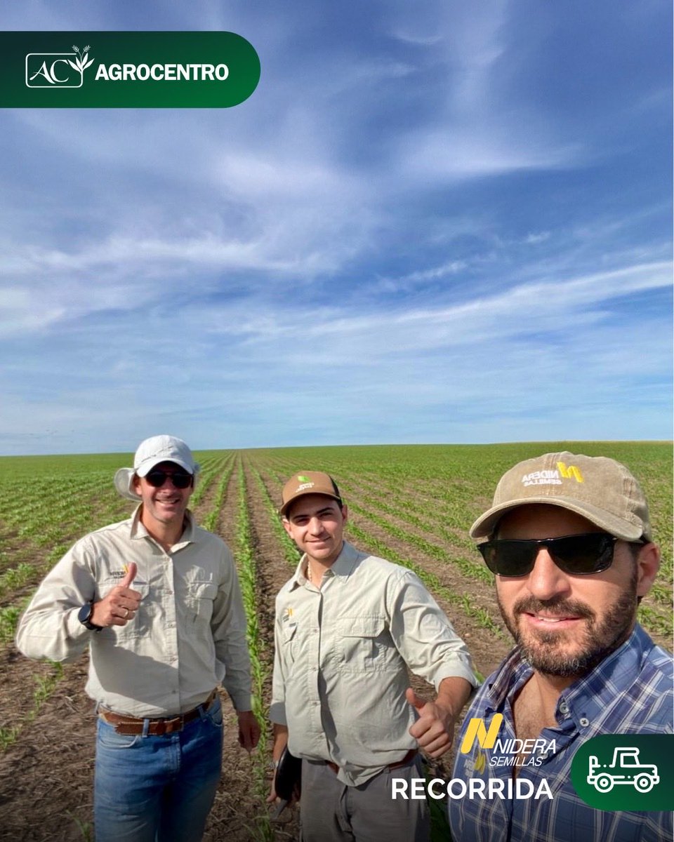 🌾🔙 Semana de recorridas por chacras de maíz y trigo Nidera en la zona de Ombucito y ruta 20.

De la mano de <a href="/nicolasleguisam/">Nicolás Leguisamo</a> , @osvaldoperezbur, <a href="/andresnogueira7/">Andrés Nogueira</a> y <a href="/IngElopez77/">Enrique</a> , seguimos de cerca evaluando rendimiento, sanidad y potencial.

<a href="/NideraSemillas/">Nidera Semillas</a>