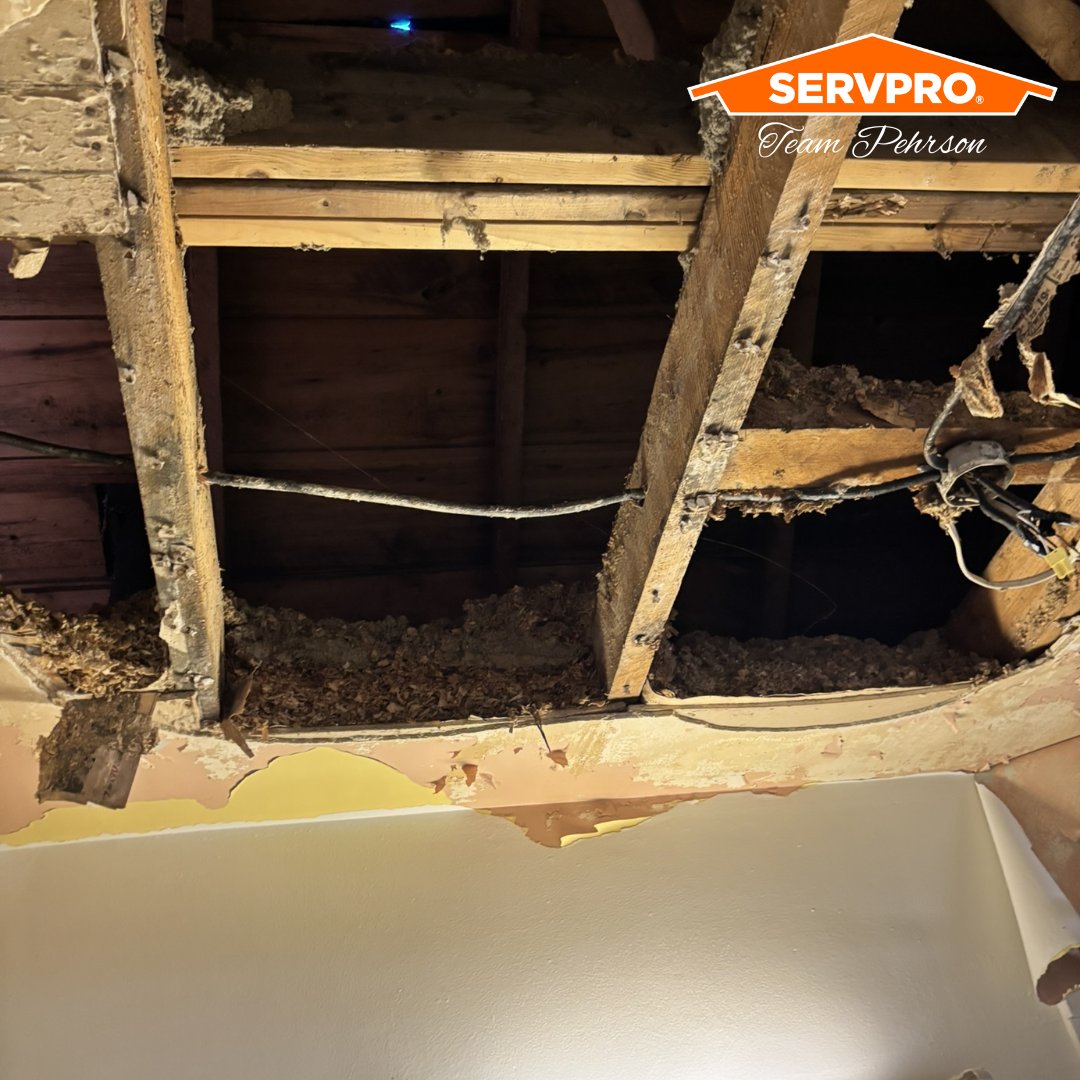 Flooding or heavy rainfall can cause significant water damage, threatening your property’s structure and safety. At SERVPRO, we offer 24/7 professional water damage restoration to protect your home or business.

Contact SERVPRO anytime for reliable, compassionate service.