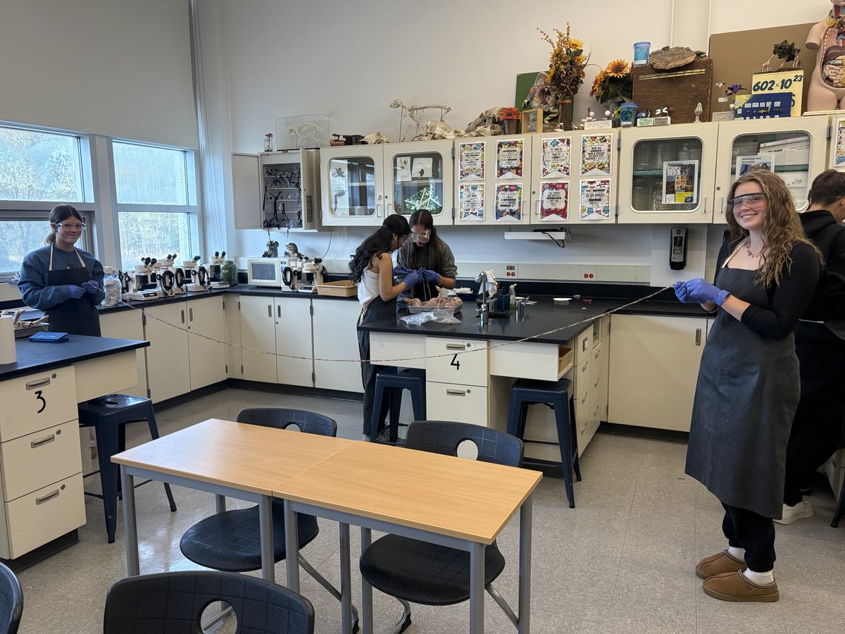 The secret’s in the surface area! #bioforlife ⁦<a href="/ChelseaMI_HS/">Chelsea High School</a>⁩