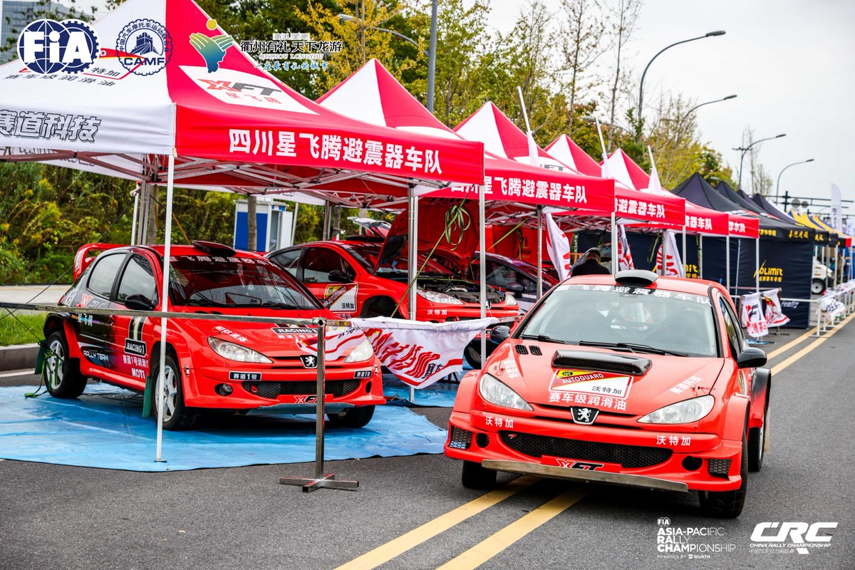 Global Longyou 天下龙游 tweet media