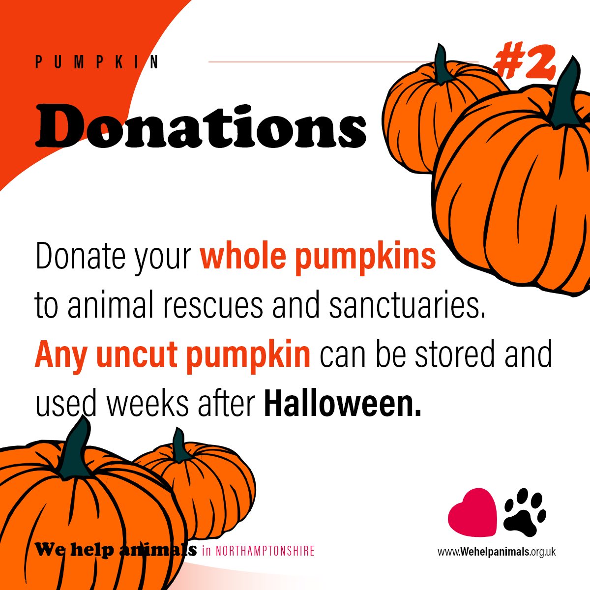 WeHelpAnimals1's tweet photo. 🎃 Give Your Pumpkin a Happy Ending! 🐾

Don't let your Halloween pumpkin go to waste! After the spooky celebrations are over, these festive gourds can be a delicious treat for local wildlife and rescued animals. 

Scroll through our tips in the attached infographics. 

Part 1! https://t.co/50RrpRCQDD