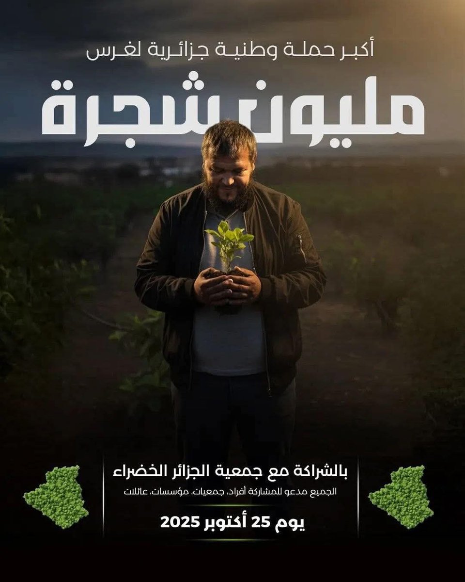 #خضرا_باذن_الله 💚🇩🇿#مليون_شجرة_باذن_الله 🌲🌳🇩🇿