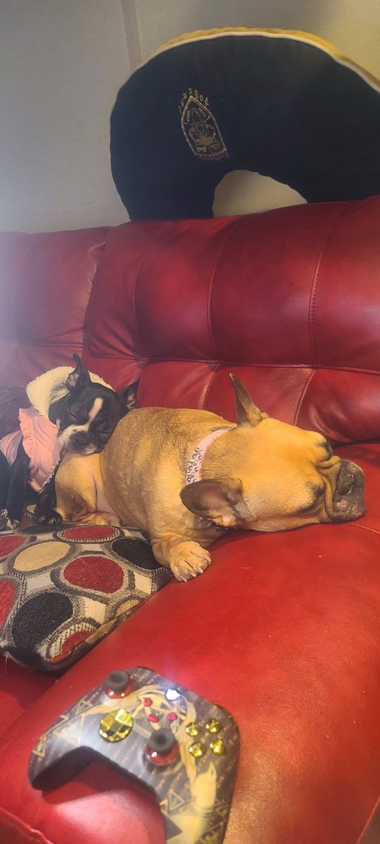 KING DAVID👑👑👑 #TGS2025 tweet media