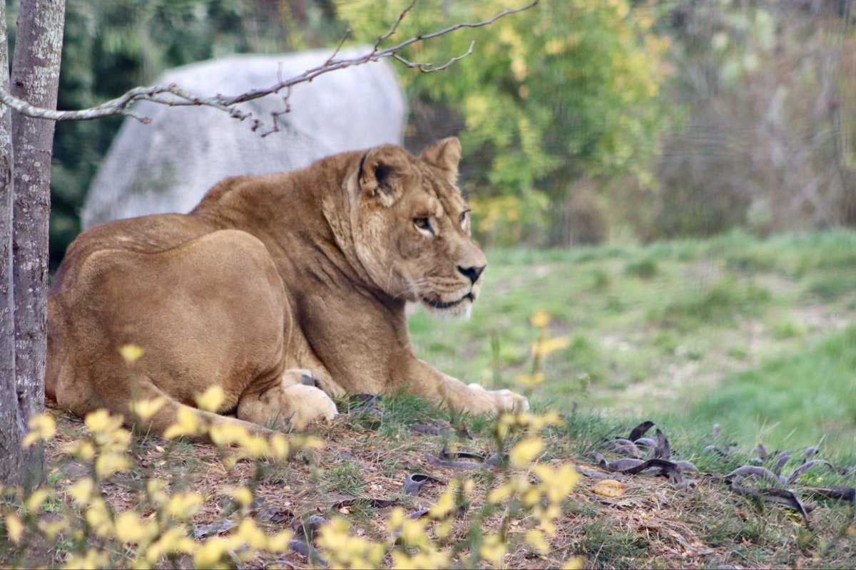 de PEYROLLE tweet media