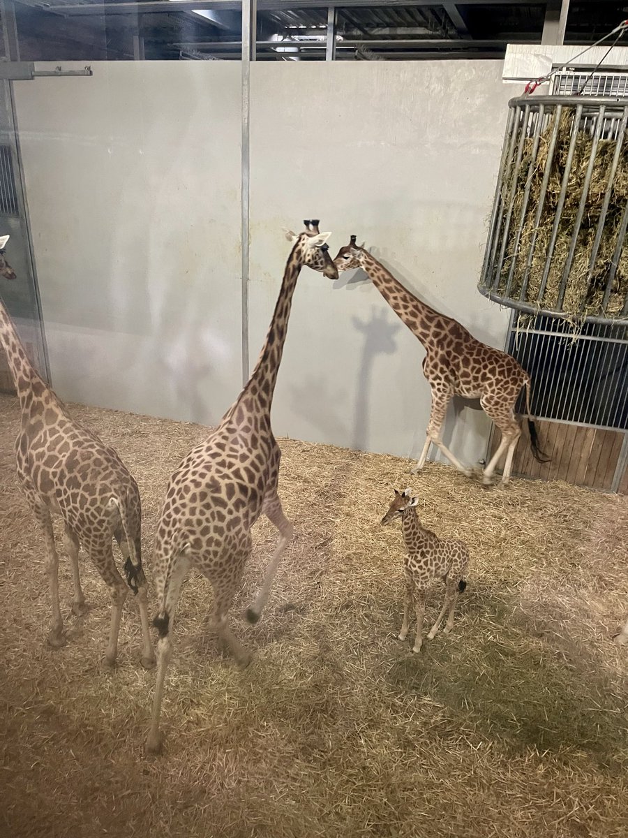 de PEYROLLE tweet media