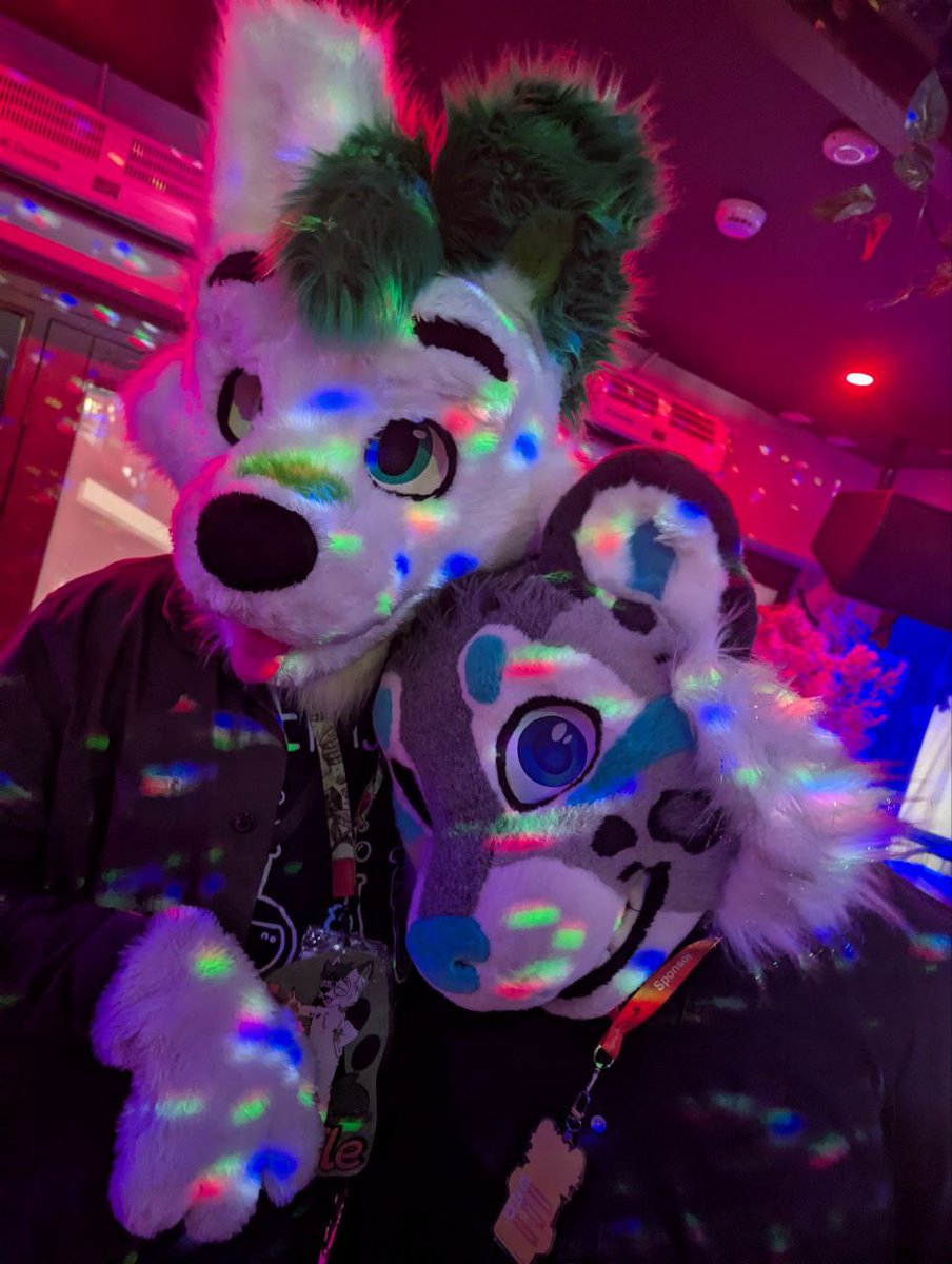 AHHH it's #fursuitfriday (you'd think I'd be better prepared by now) I have been stolen by a cute puppy send help 

🐶 pufflemaster2 (IG)
📸 Please claim I was too dead this day to remember