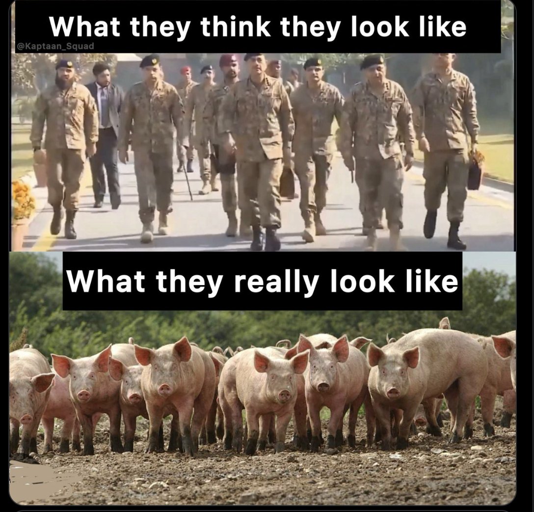 PKSoldier2's tweet image. 