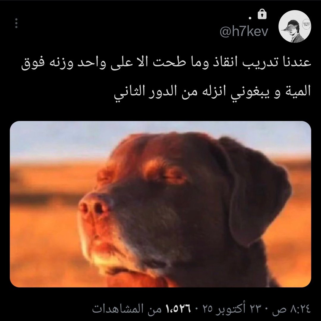 Tweet media one