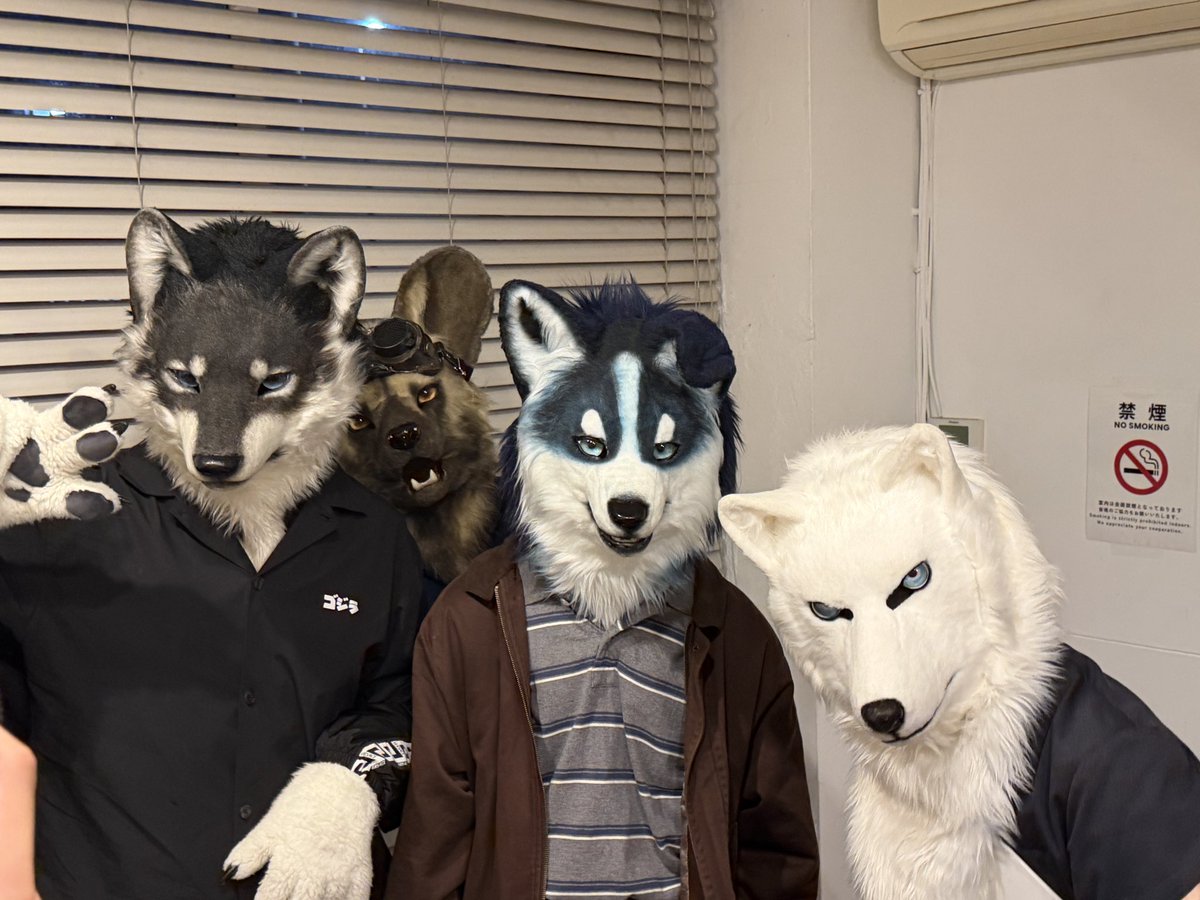 tobyinu's tweet photo. So glad I finally got to visit Okami Wolf bar !! かわいい https://t.co/kMDpHzUkHx