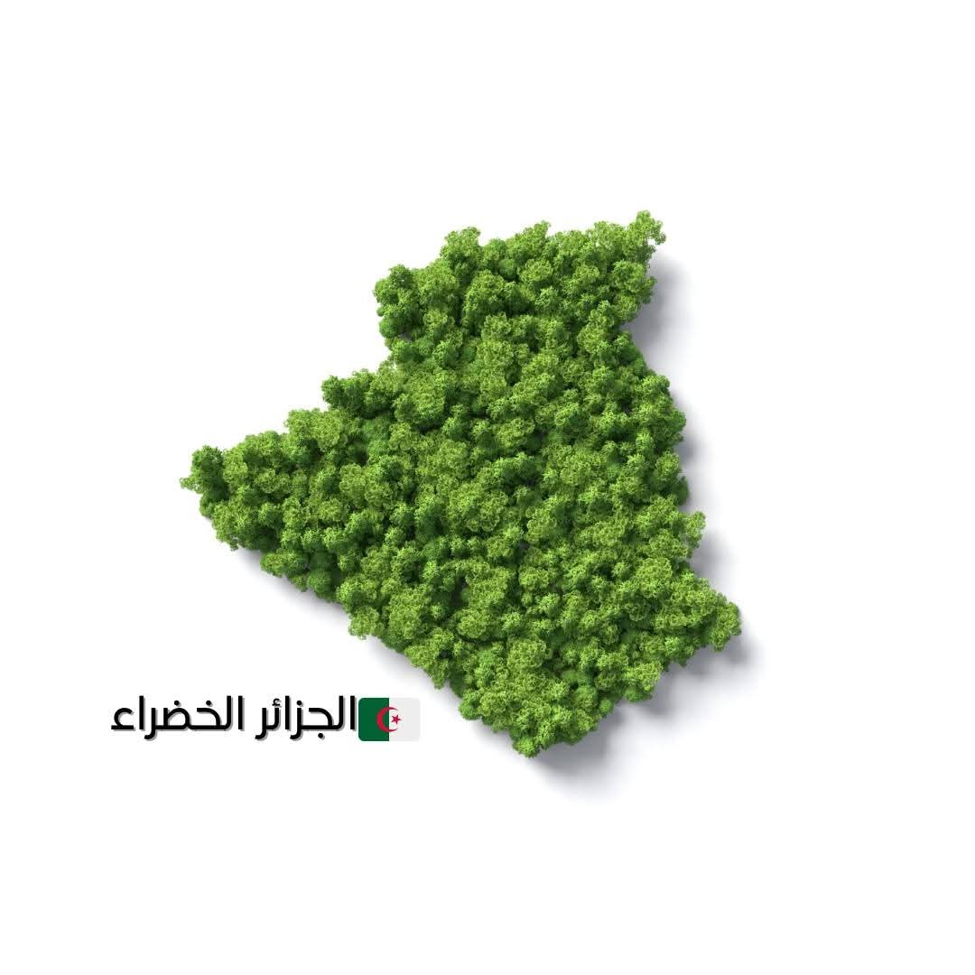 خلونا من دوري دارت 
#كلنا_معنيون_يوم_25_أكتوبر 
#مليون_شجرة 🌲 
#الجزائر_الخضراء  💚