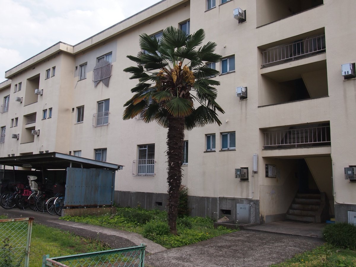 うかい (@ke_ukai) / Posts / X