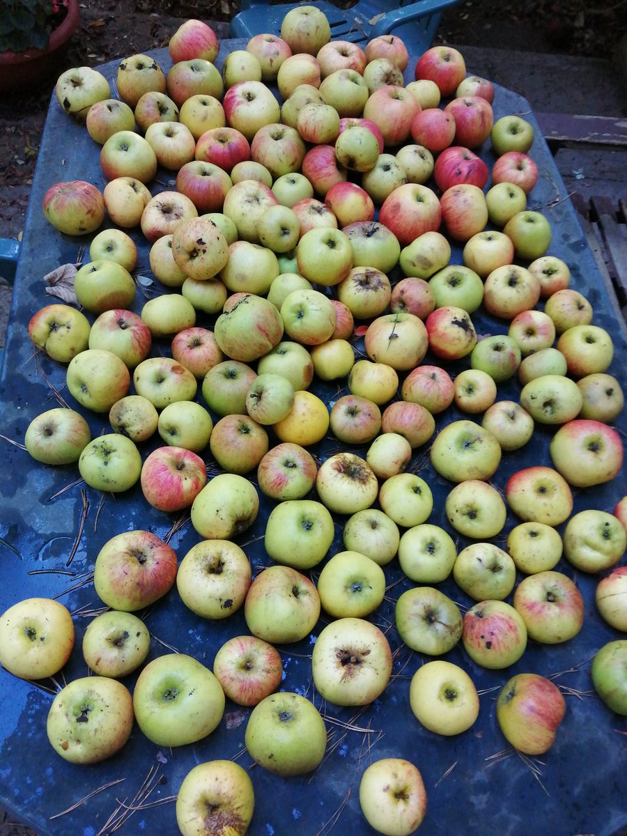 Julian Armitstead tweet media