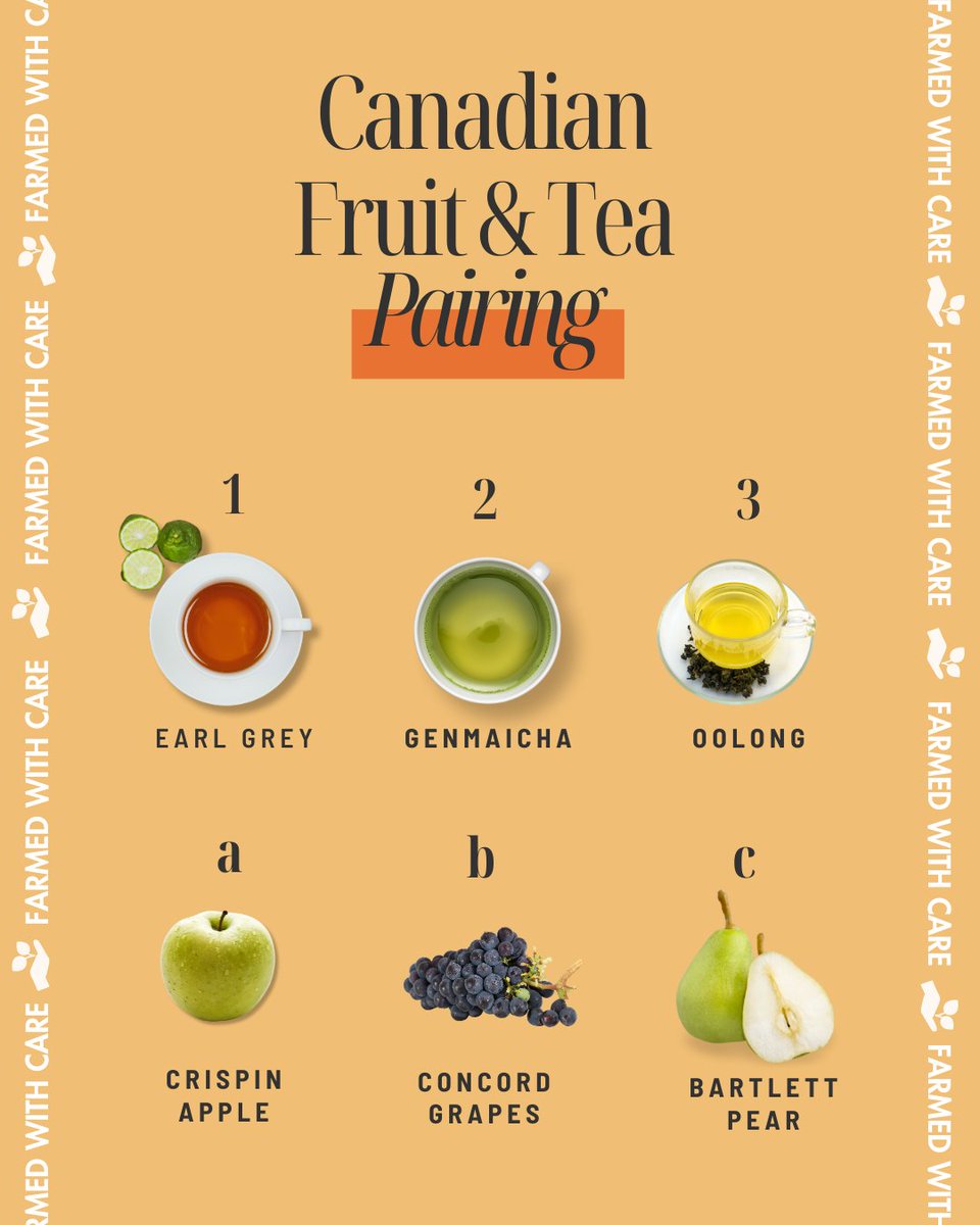 🍎🍐🍑 Let’s have some fun with a mix &amp; match! Pair Canadian-grown fruits with some of our favourite teas—each one #FarmedWithCare from origins around the world. 🌍🍵 Which combo would you try first? 💚 #FallIntoTea #BrewCrew #PinkiesUp