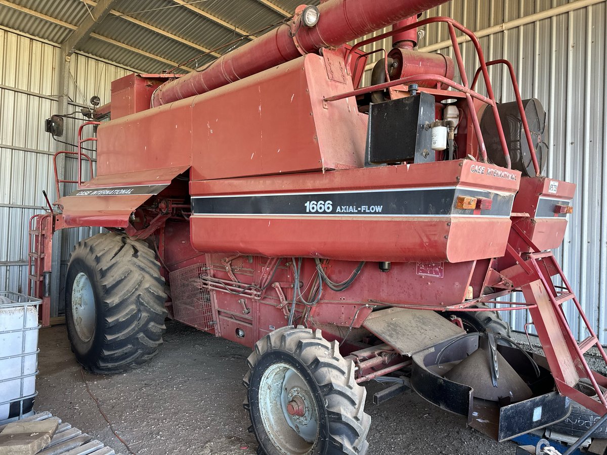 DaleBascomb's tweet image. “Frank” is ready to have a crack, he getting pulled off the bench and into a bumper barley crop..