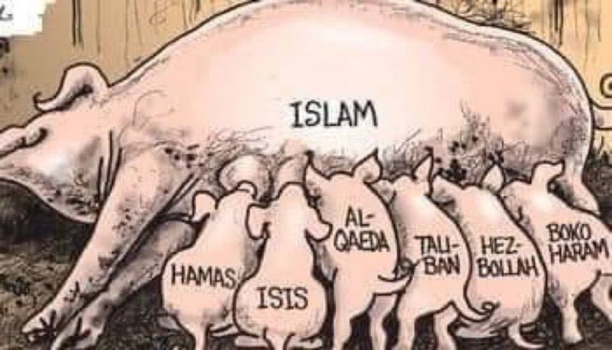 Alexander Duncan tweet media