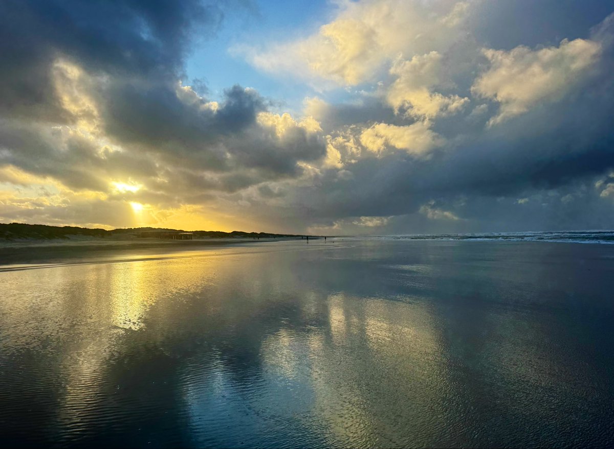 richardtkiewiet tweet media