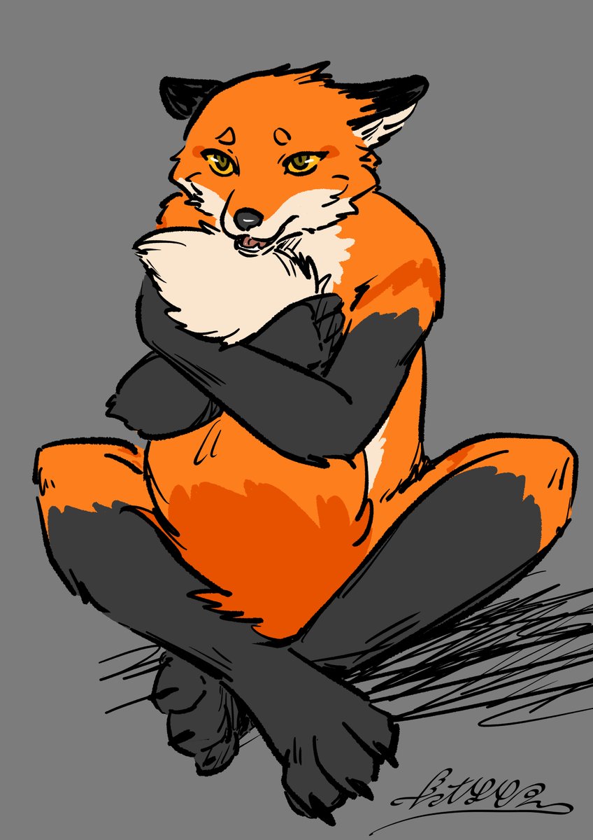 ぴぴまる (@Pipimaru0623) / Posts / X