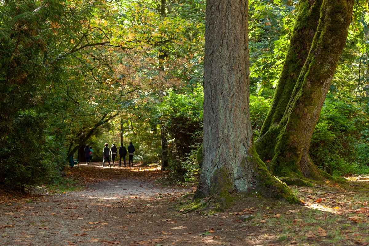 From serene forest walks and seaside vistas to local restaurants &amp; cafes, Ocean Park is a thriving neighbourhood in South Surrey.

As the only new-build in the heart of this beautiful enclave, come home to a walkable community full of character: rockfordbycressey.com