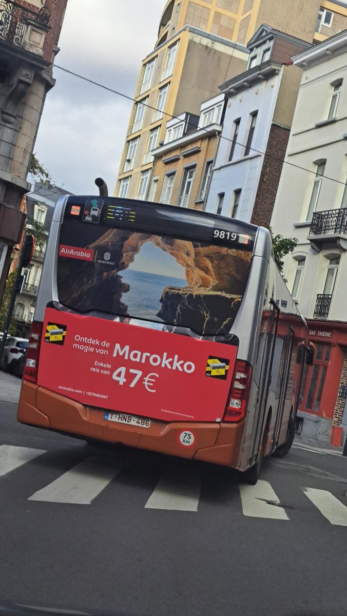 Hoezo is #remigratie duur? Enkeltje kost maar 47 euro! 😉🛫