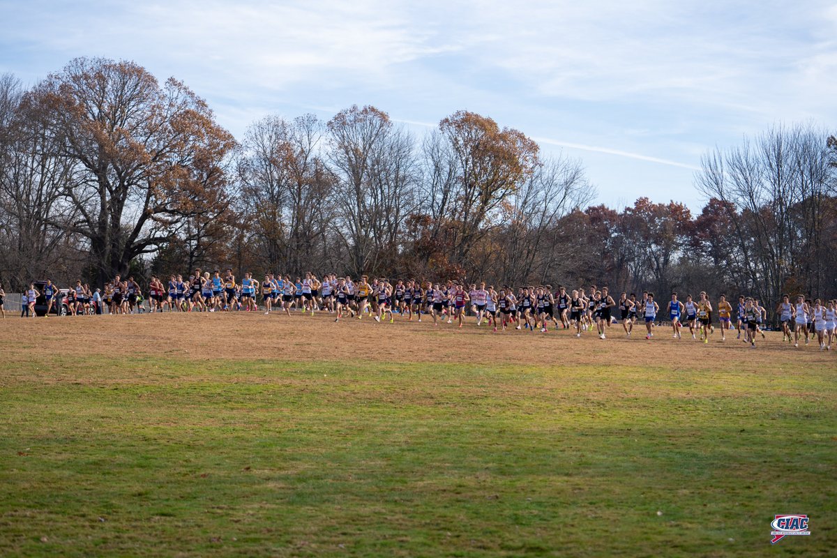 CIAC Sports (@ciacsports) on Twitter photo The CIAC Boys and Girls Divisional State Championships will be held tomorrow at Wickham Park! 
The first race will be at 9:00 am, and the final race will be at 3:50pm. For the full detailed schedule, please visit Tournament Central. casci.ac/11024
Live Results: The CIAC Boys and Girls Divisional State Championships will be held tomorrow at Wickham Park! 
The first race will be at 9:00 am, and the final race will be at 3:50pm. For the full detailed schedule, please visit Tournament Central. casci.ac/11024
Live Results: