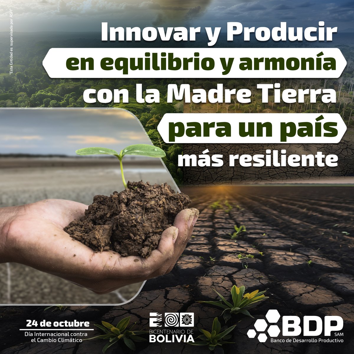 #SomosBDPsam | ¡El futuro se siembra hoy!  Nuestro compromiso es impulsar el desarrollo en equilibrio y armonía con la Madre Tierra para un país más resiliente, fuerte ante la crisis climática🤲🌱

#DíaContraElCambioClimático