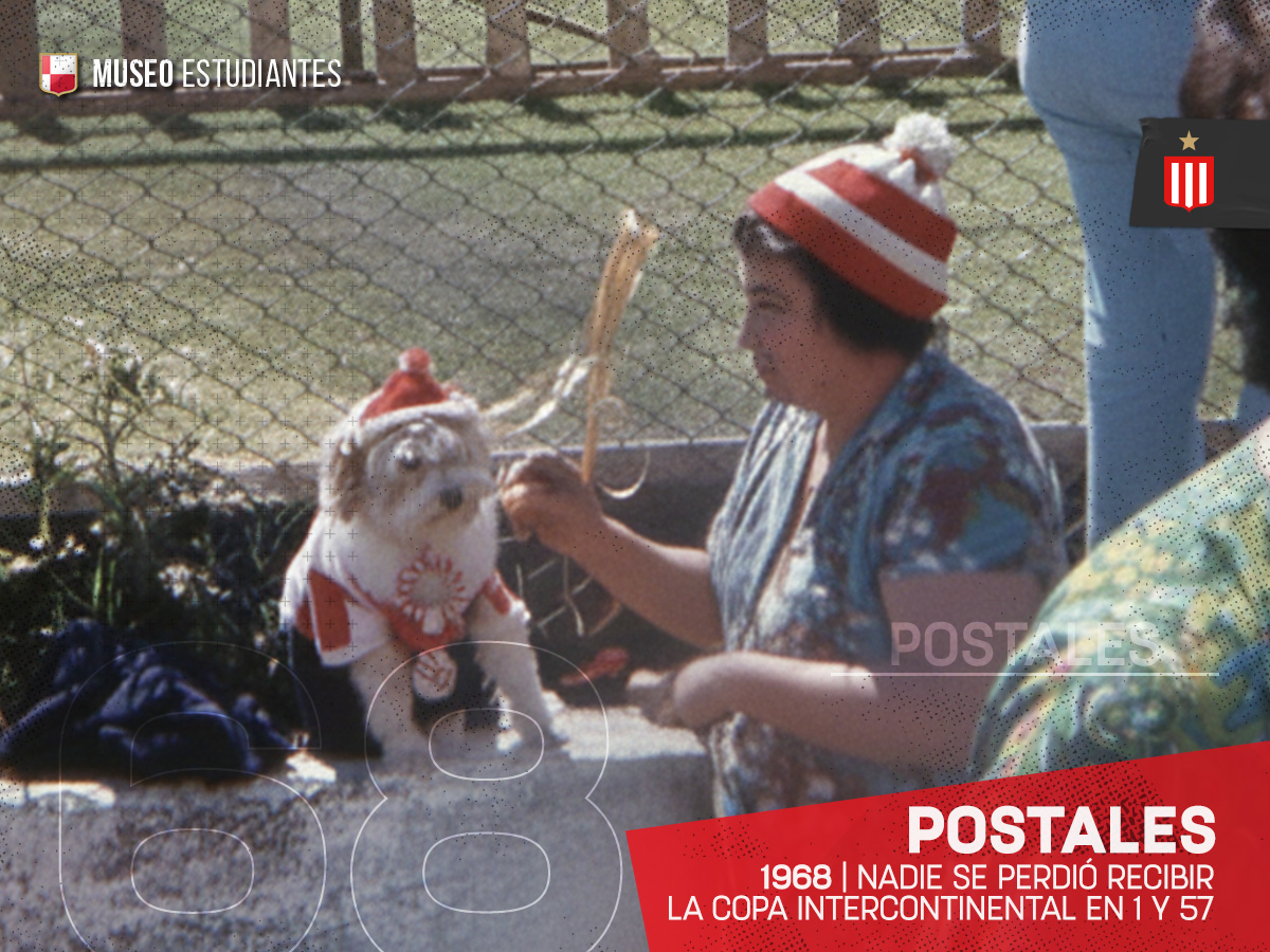EdelpMuseo's tweet image. 📬 🇦🇹 POSTALES | 1968

NADIE SE PERDIÓ RECIBIR LA COPA INTERCONTINENTAL EN 1 y 57

Una bellísima postal de la señora con su perrito Pincharrata en la tribuna de 57, fue un 22/10/1968 para recibir la Copa y ver la vuelta olímpica en casa.

#Postales #EDLP #MuseoEstudiantes
