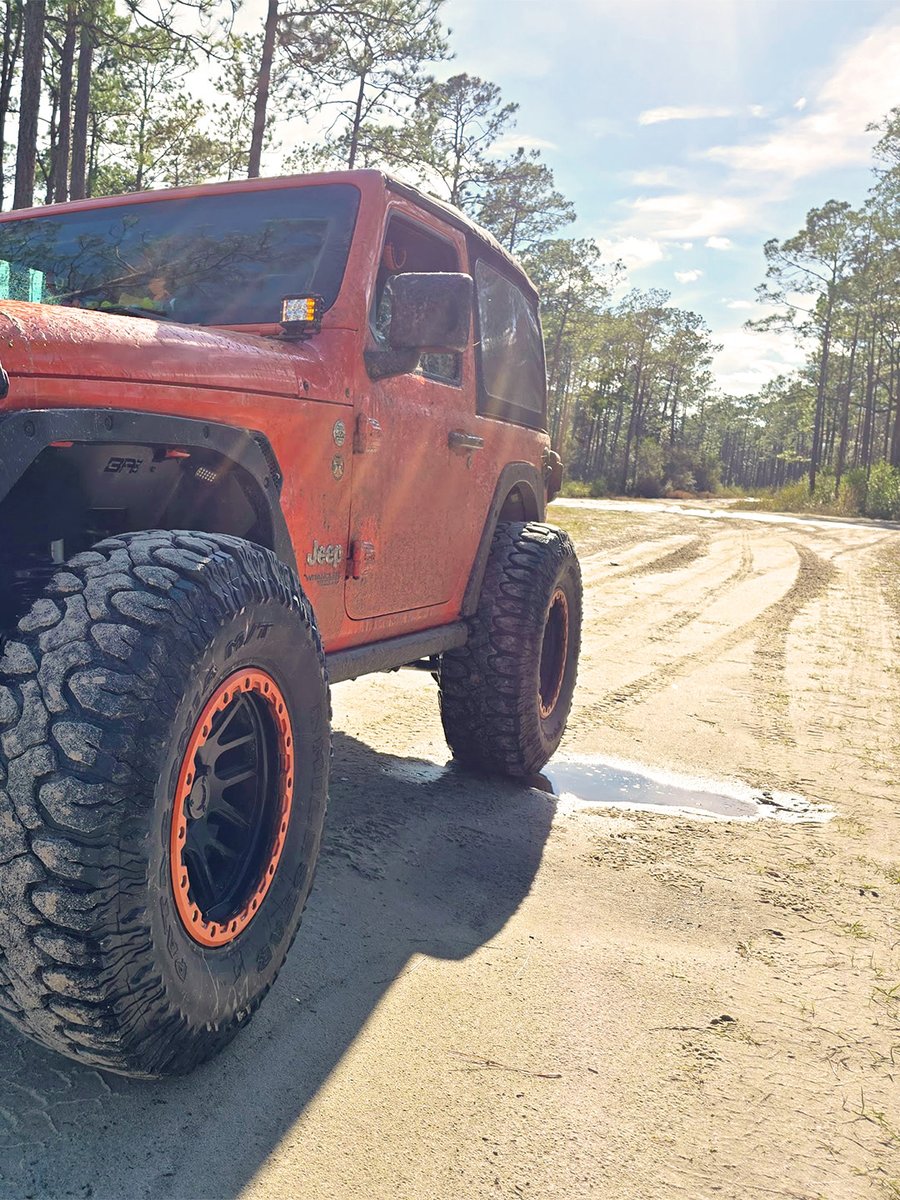 La citrouille rebelle 🎃

📸 Jason L.