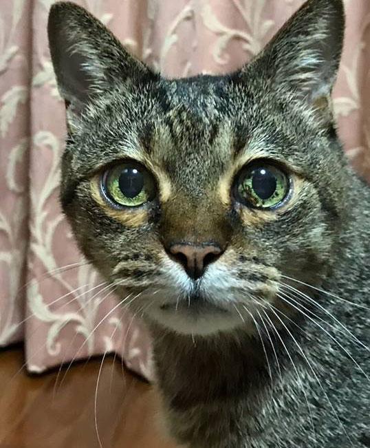 LaydeeBoot318's tweet image. 火曜日の午後、からっとしてる。すっきり気分で掃除する。 🍣