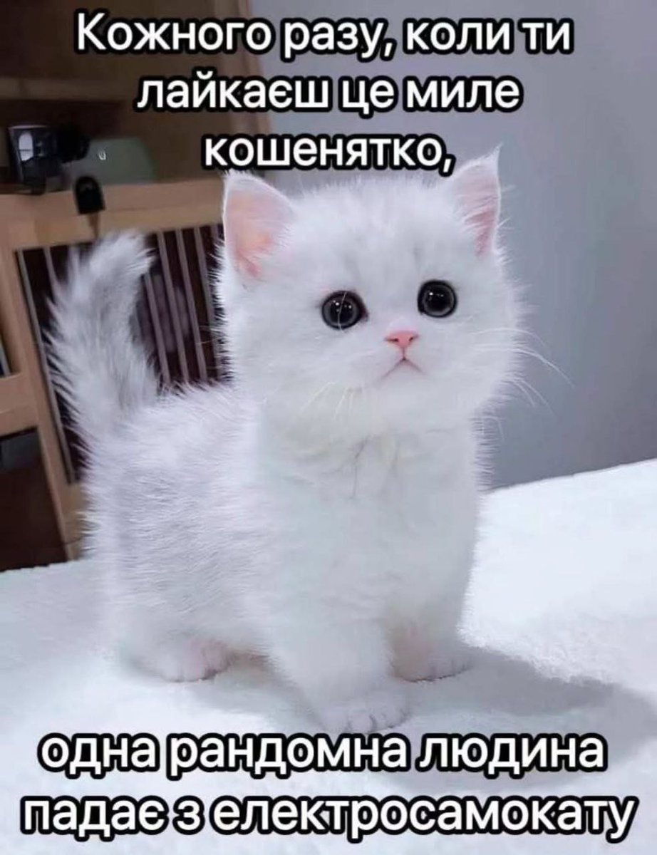 Пан Барон (@xenomorphage) on Twitter photo 