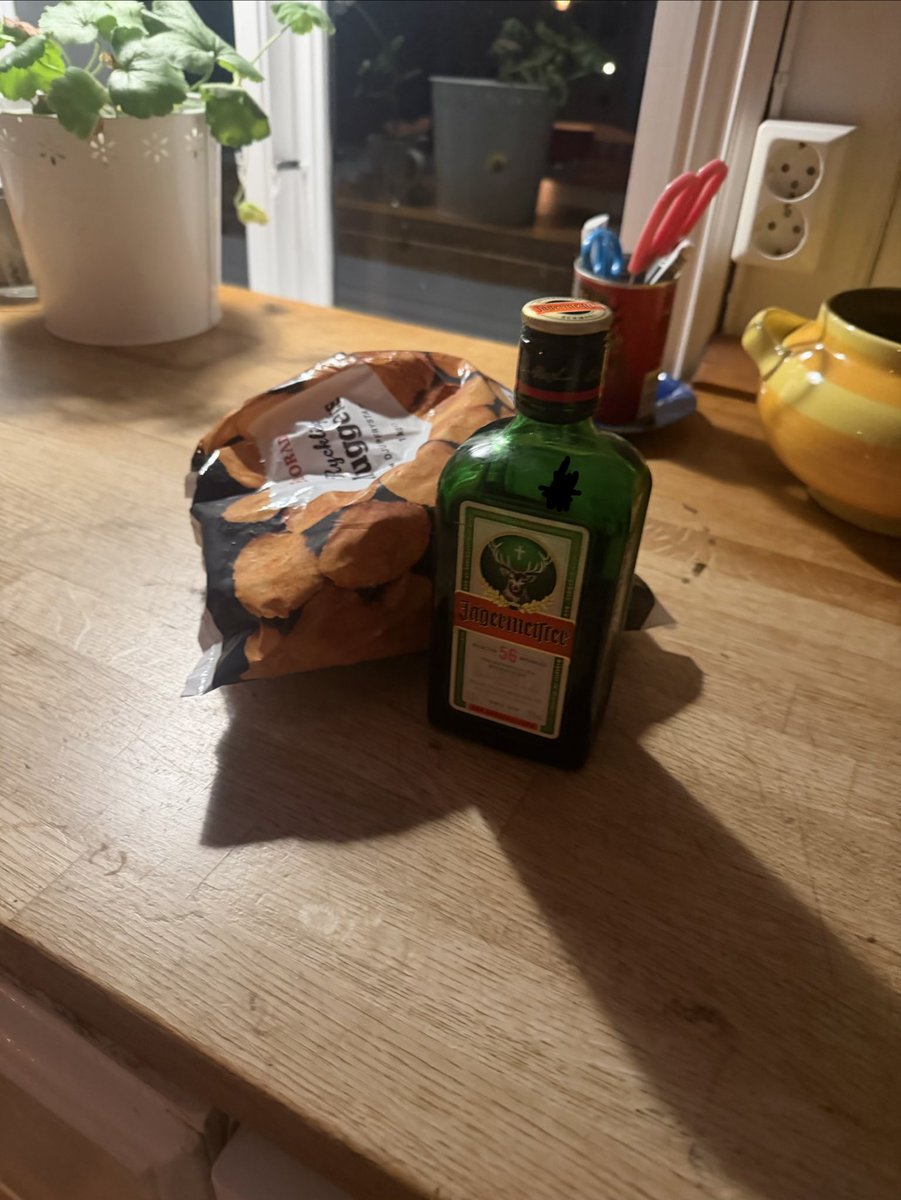 chicken nuggets and jäger makes the pain go away, hopes everyone is doing decent in these times 🤝