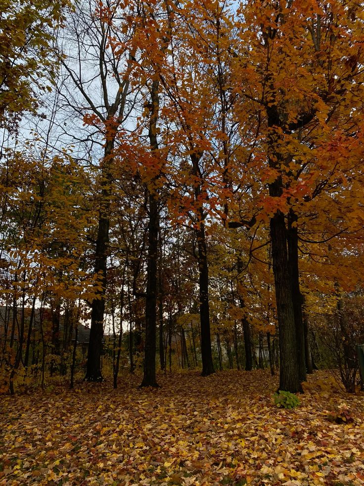 talya9646171863's tweet photo. October breeze https://t.co/JdFwW2RFs9