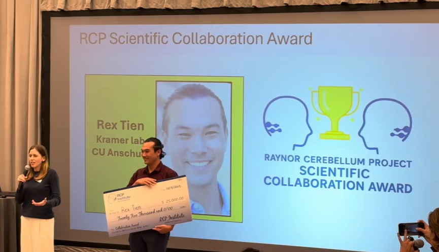 Raynor Cerebellum Project tweet media