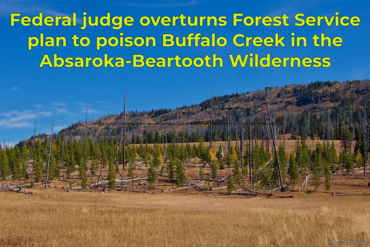 Federal judge overturns a U.S. Forest Service plan to poison Buffalo Creek in the Absaroka-Beartooth Wilderness!

Court rules in favor of Wilderness Watch, strikes down agency poisoning plan in Buffalo Creek watershed near Yellowstone National Park.

&gt;&gt;&gt; wildernesswatch.substack.com/p/federal-judg…