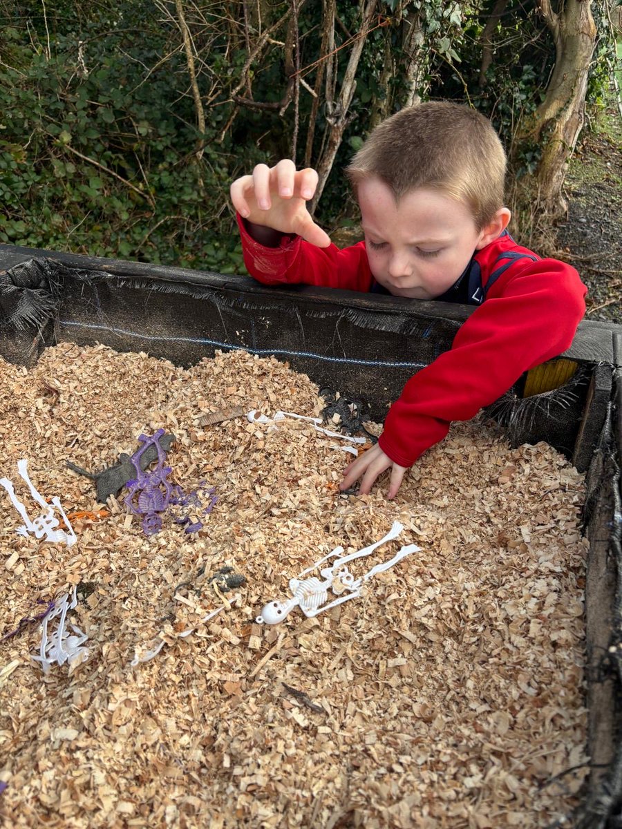 St. Cecilia's School tweet media