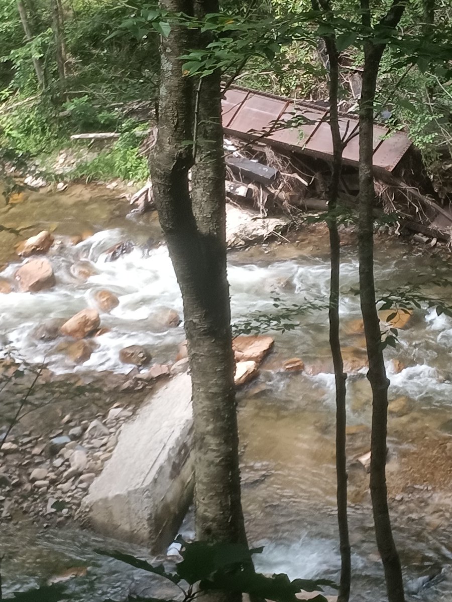 A walk in the woods after Hurricane Helene