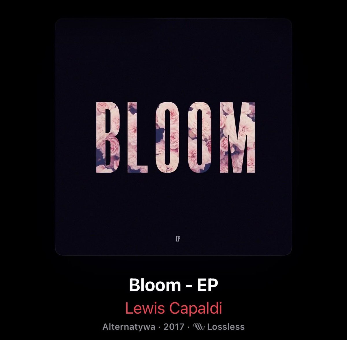 CapaldiPoland's tweet image. Started from the bottom now we here 🤍 @LewisCapaldi I’m so happy and proud of you x
