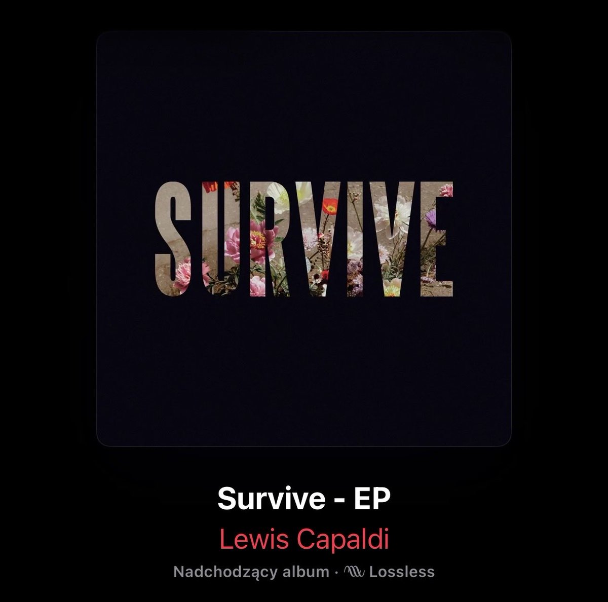 CapaldiPoland's tweet image. Started from the bottom now we here 🤍 @LewisCapaldi I’m so happy and proud of you x