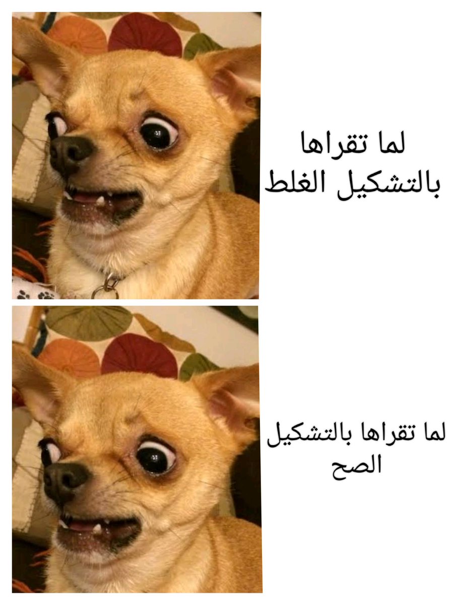 🏄 (@fantanticanaz) on Twitter photo 