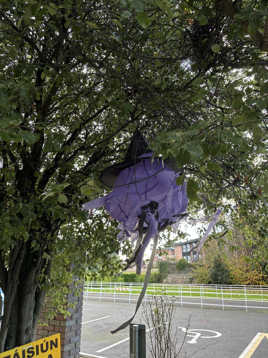 peterjmcgann's tweet image. Well it looks like *insert candidate of your choice* showed up at the polling station for some last minute canvassing!!
#justabitoffun