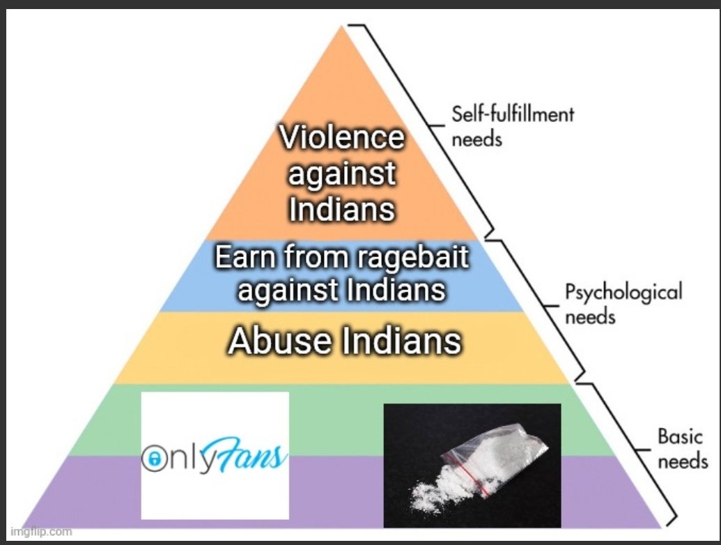 KantInEastt's tweet image. Maslow&apos;s hierarchy of needs for an American