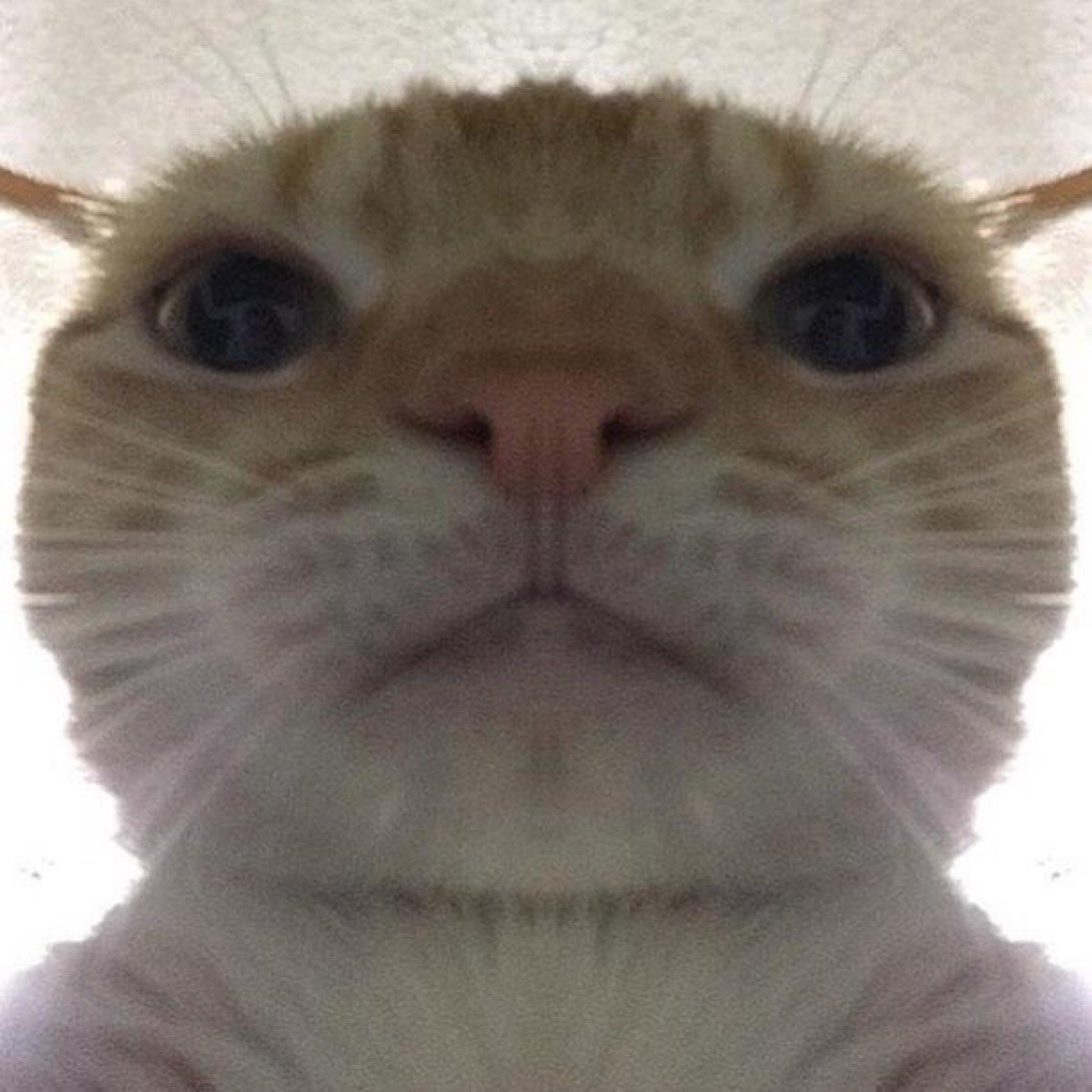 Gm

Who dis?