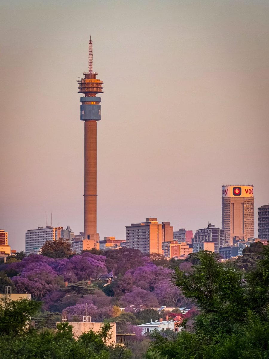 UlrichJvV's tweet image. Only Joburg can pull off wearing purple shoes in spring and a skyline like this! 💜📸 #JacarandaInYourPocket2025 @JohannesburgIYP