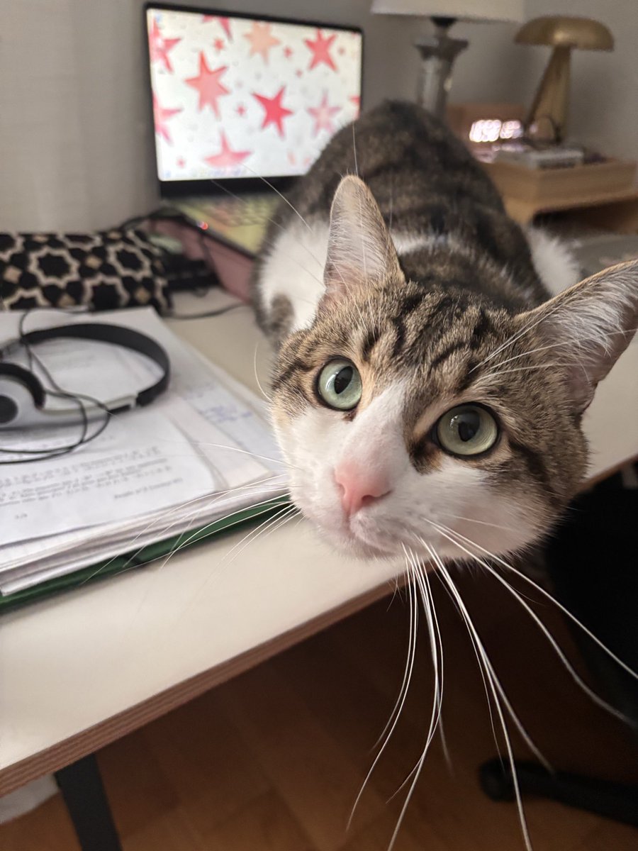 [THREAD MITOS] HISTOIRE DE MITOS !!!