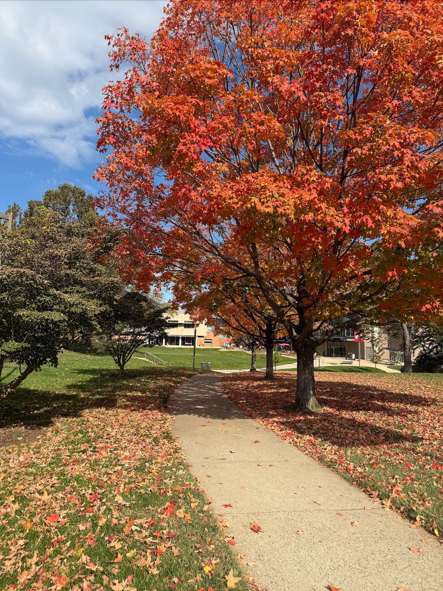 Catholic University Conway School of Nursing tweet media