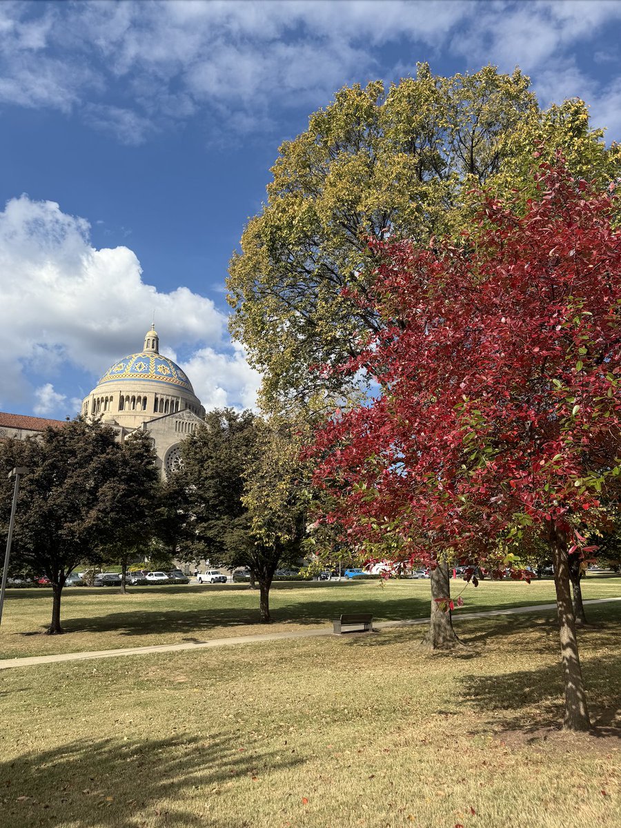 Catholic University Conway School of Nursing tweet media