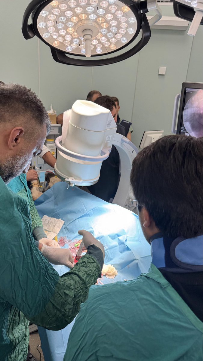 Kocatepe Hayvan Hastanemizde Angiografi uygulamasını başarı ile gerçekleştirdik. Desteklerinden dolayı Sayın Rektörümüze ve Dekanımıza teşekkür ederiz. ⁦<a href="/Karakas1969/">Mehmet Karakaş</a>⁩ ⁦<a href="/kocatepeuniv/">Afyon Kocatepe Üniversitesi</a>⁩