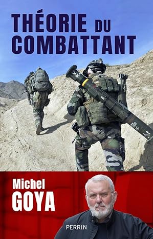 Michel Goya tweet media