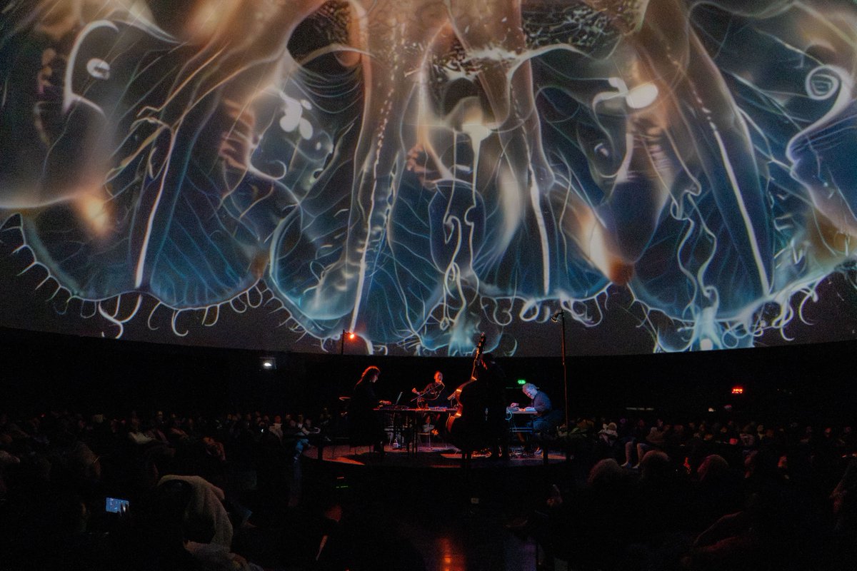 ArtesUniandes's tweet image. 🌊 52 Hz
Esta obra fue parte de las celebraciones de los 15 del colectivo La Quinta del Lobo liderado por nuestra profesora Carmen Gil. Una experiencia inmersiva que inauguró el Festival #RealMix 0.5 en el Domo del @planetariobta.

🌌 Inspirada en el canto de la ballena