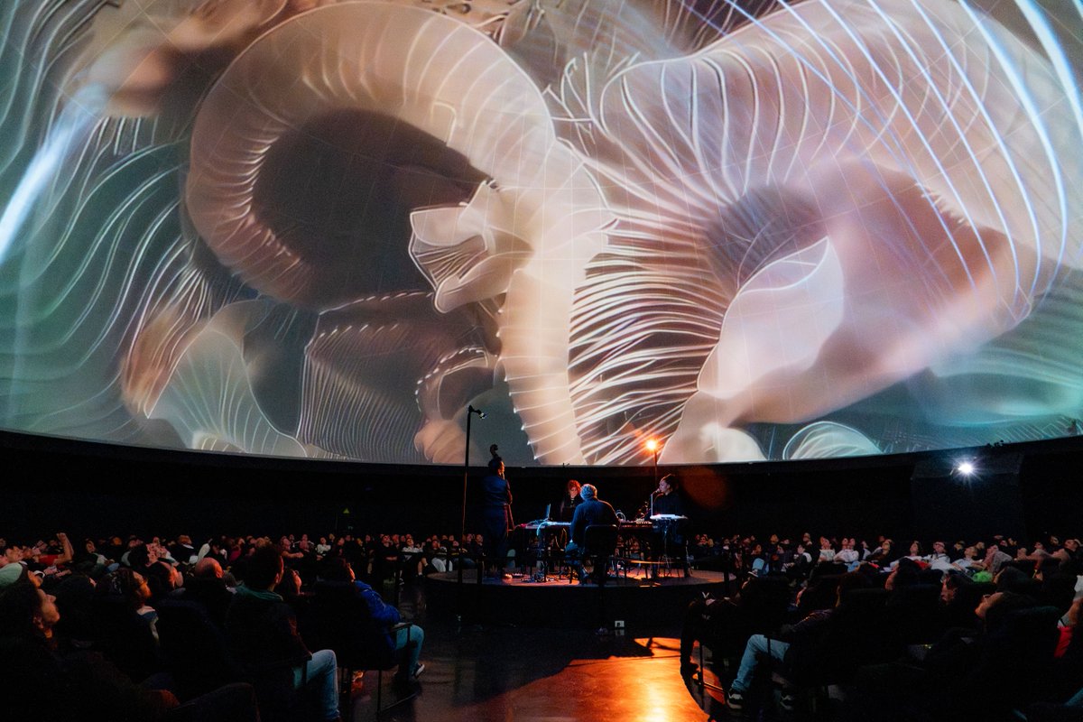 ArtesUniandes's tweet image. 🌊 52 Hz
Esta obra fue parte de las celebraciones de los 15 del colectivo La Quinta del Lobo liderado por nuestra profesora Carmen Gil. Una experiencia inmersiva que inauguró el Festival #RealMix 0.5 en el Domo del @planetariobta.

🌌 Inspirada en el canto de la ballena